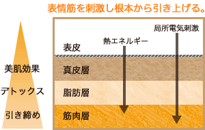 引き締め効果